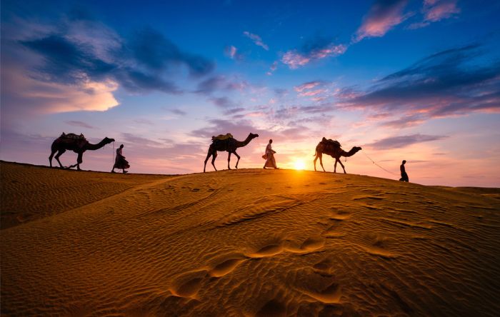7 Best Shopping Market In Rajasthan