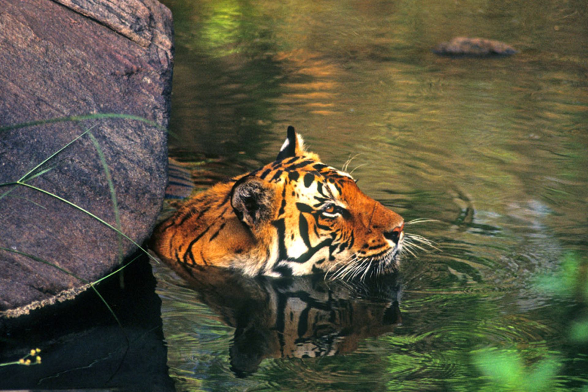 Related image