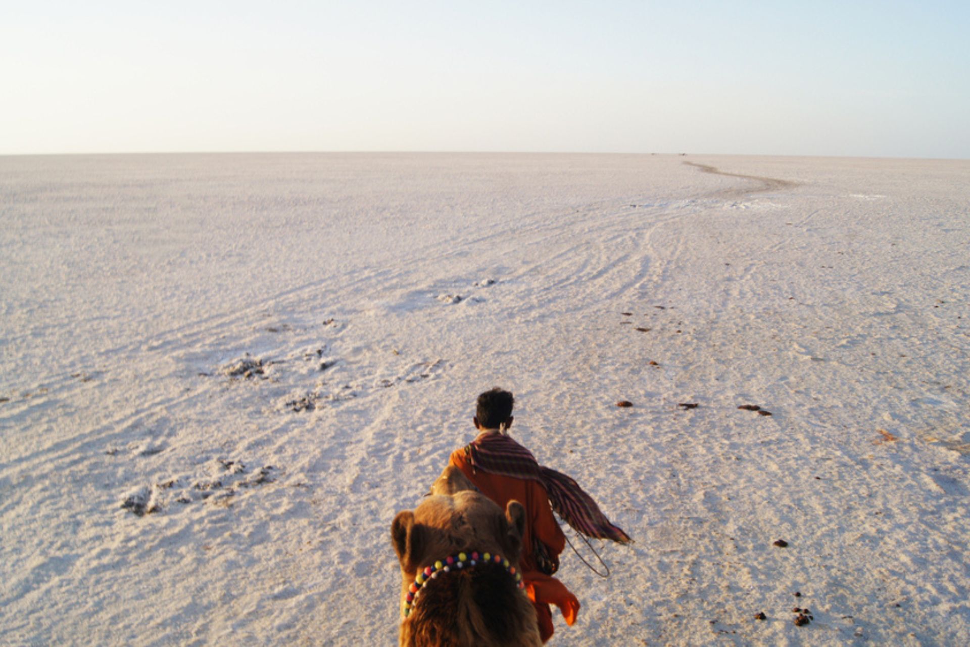 Majestic Gujarat Tour For 12 Nights and 13 Days