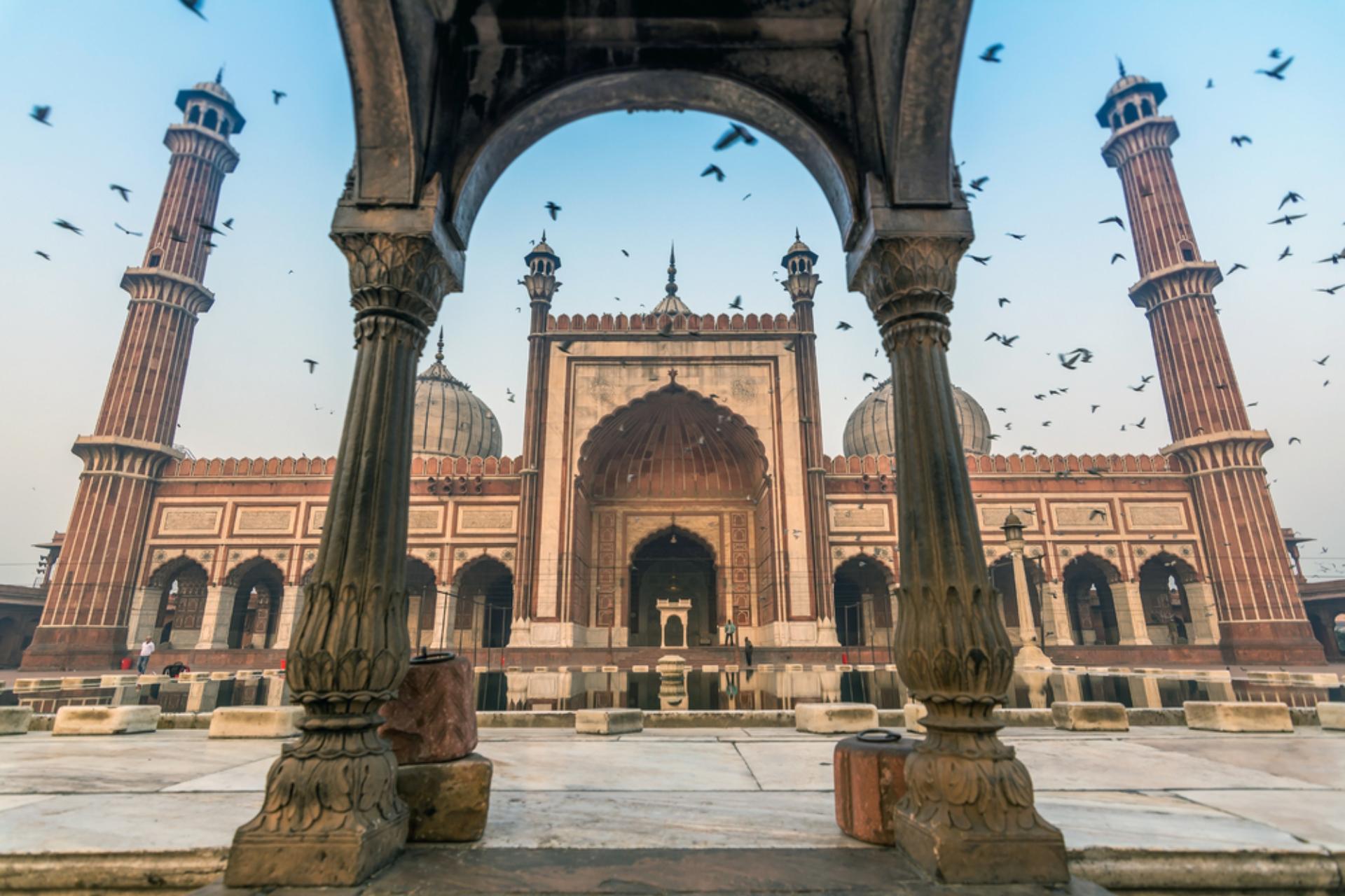 Golden Triangle and Tiger Tour Extravaganza